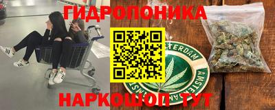 a pvp Новоалтайск